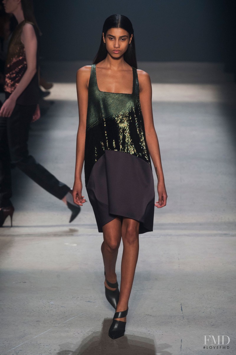 Imaan Hammam featured in  the Narciso Rodriguez fashion show for Autumn/Winter 2014