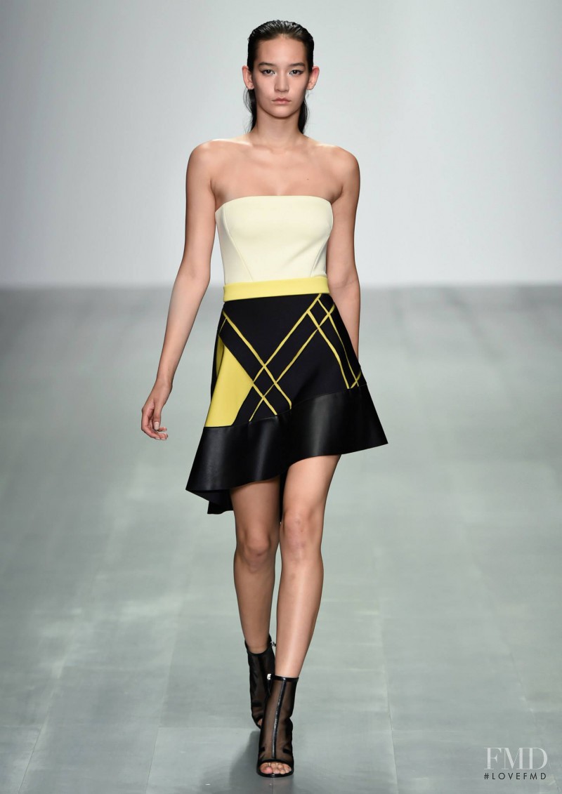 David Koma fashion show for Spring/Summer 2015