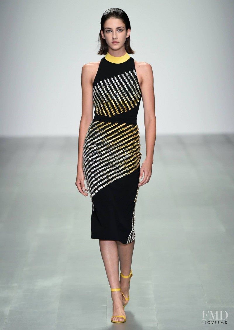 David Koma fashion show for Spring/Summer 2015