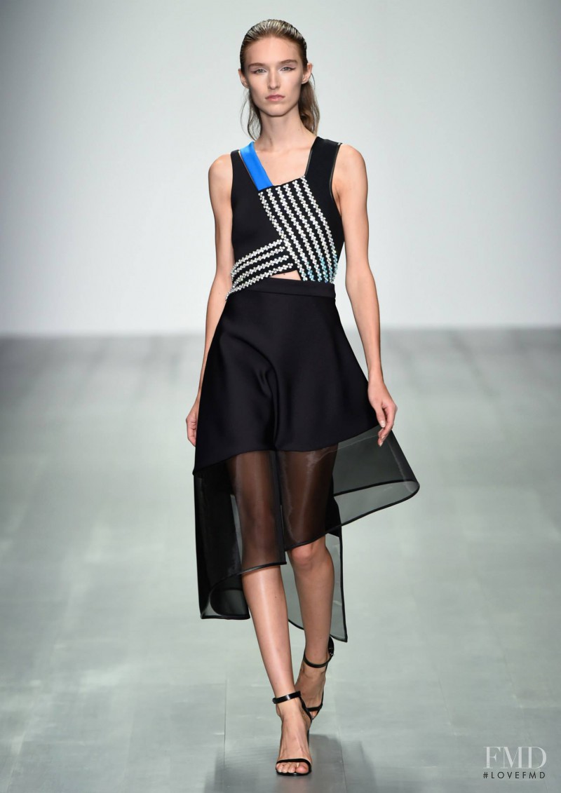 David Koma fashion show for Spring/Summer 2015