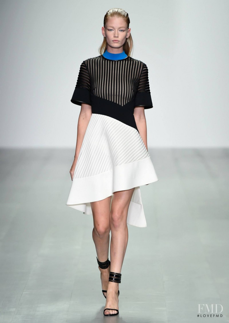 David Koma fashion show for Spring/Summer 2015