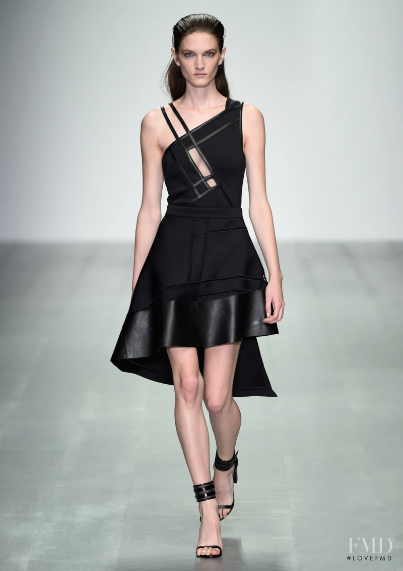 David Koma fashion show for Spring/Summer 2015
