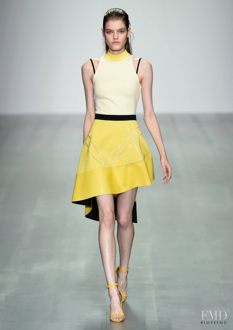 David Koma fashion show for Spring/Summer 2015