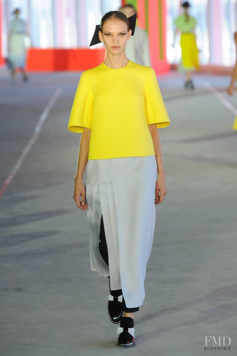 Roksanda Ilincic fashion show for Spring/Summer 2014